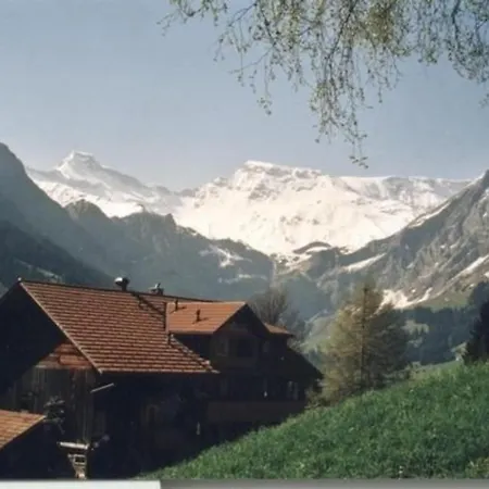 Frohmatt Apartment Adelboden